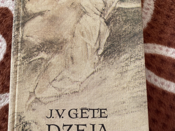 Dzeja