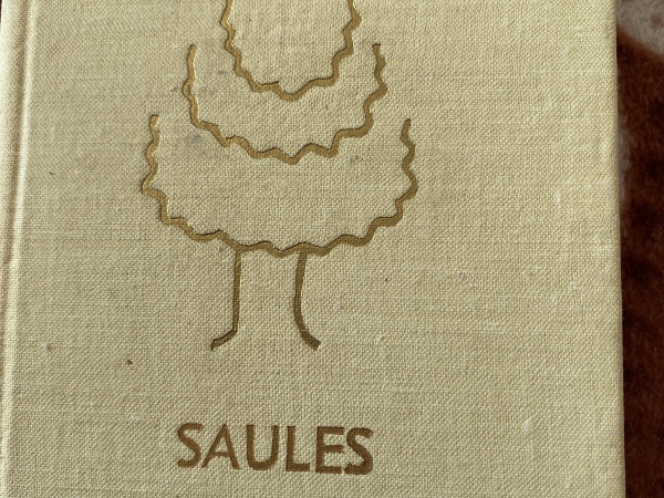 Saules koks