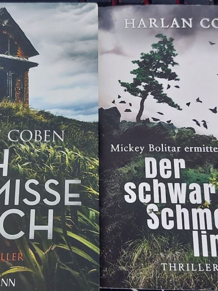 Ich vermisse dich. Der schwarze Schmetterling