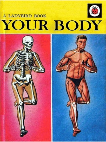 Your body