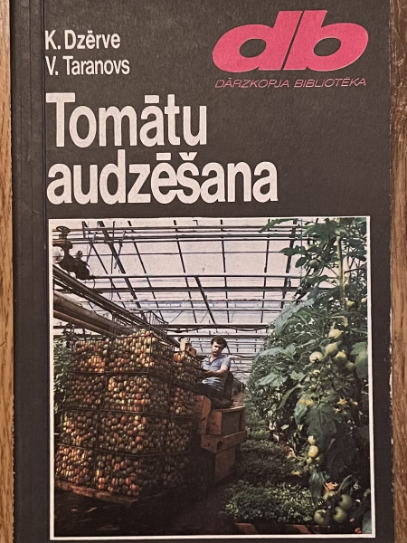 Tomātu audzēšana