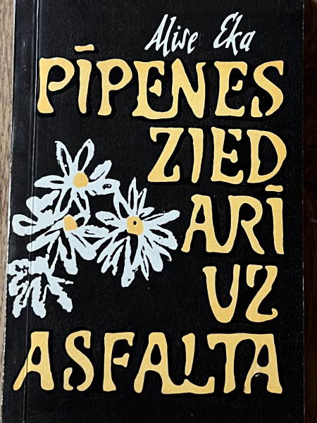 Pīpenes zied arī uz asfalta