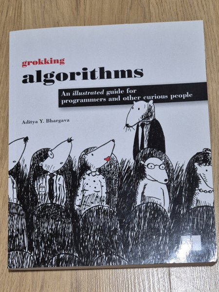 Grokking algorithms