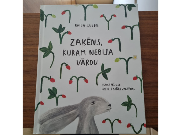 Zaķēns, kuram nebija vārdu