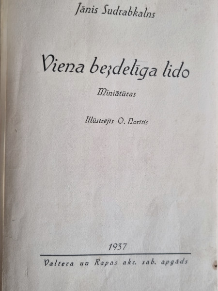 Viena bezdelīga lido