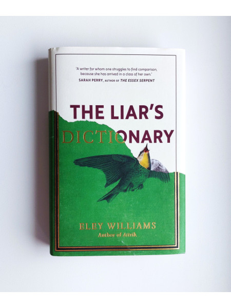 The Liar's Dictionary