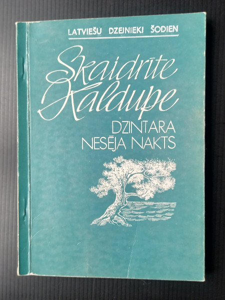 Dzintara nesēja nakts