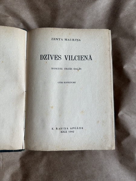 Dzīves vilcienā