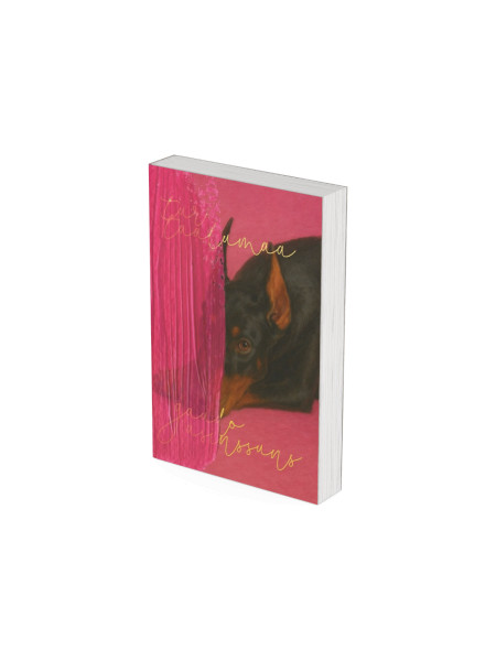 Tur, tālumā, gaudo asinssuns