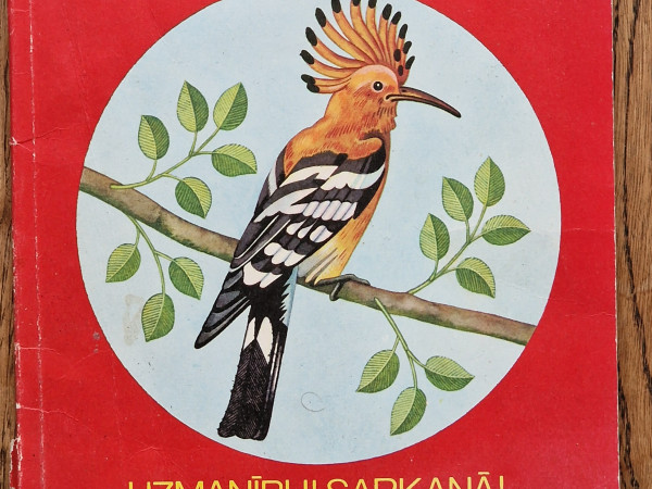 Uzmanību! Sarkanā!...